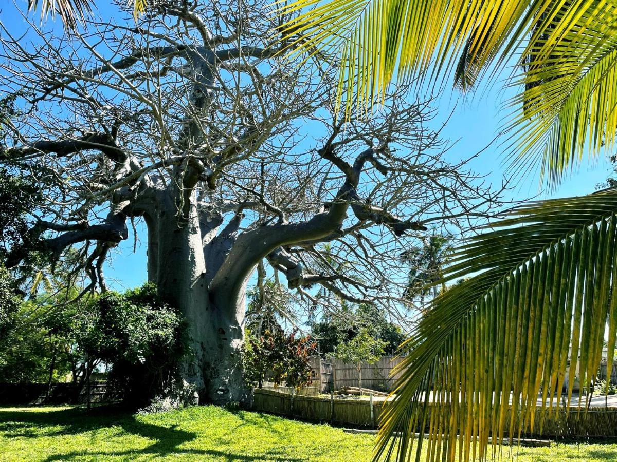 Baobab Beach Vilanculos Kültér fotó