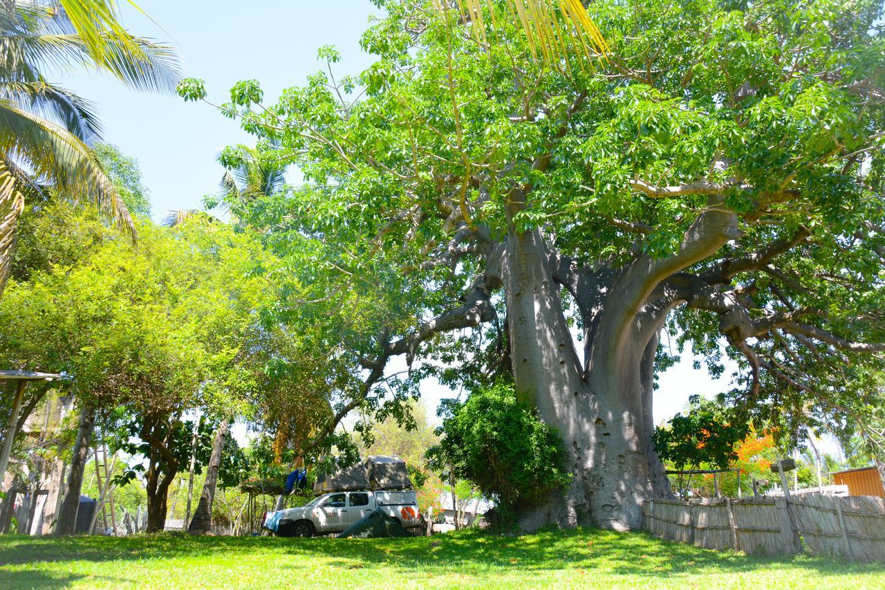 Baobab Beach Vilanculos Kültér fotó